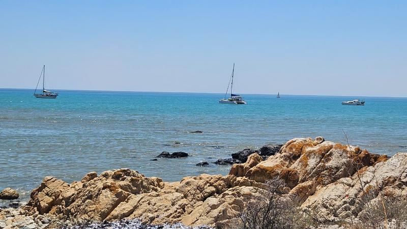 0 Bedroom Property for Sale in Steenbergs Cove Western Cape